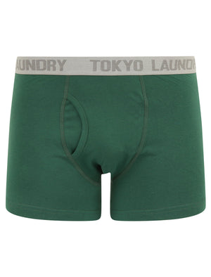 Parvin (2 Pack) Boxer Shorts Set in Solar Yellow / Hunter Green - Tokyo Laundry