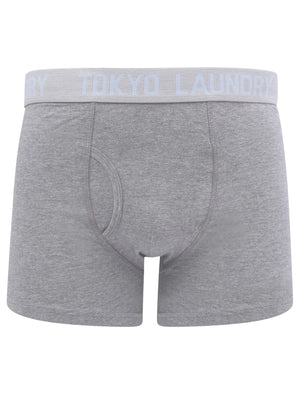 Warner 2 (2 Pack) Boxer Shorts Set In Blue Fog / Mid Grey Marl - Tokyo Laundry