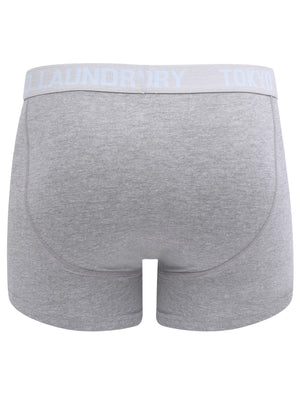 Warner 2 (2 Pack) Boxer Shorts Set In Blue Fog / Mid Grey Marl - Tokyo Laundry