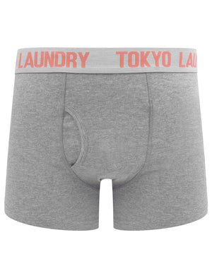 Warner 2 (2 Pack) Boxer Shorts Set In Faded Peach / Mid Grey Marl - Tokyo Laundry