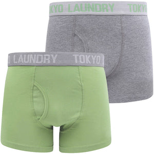 Warner 2 (2 Pack) Boxer Shorts Set In Green Eyes / Mid Grey Marl - Tokyo Laundry