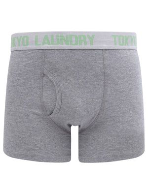 Warner 2 (2 Pack) Boxer Shorts Set In Green Eyes / Mid Grey Marl - Tokyo Laundry