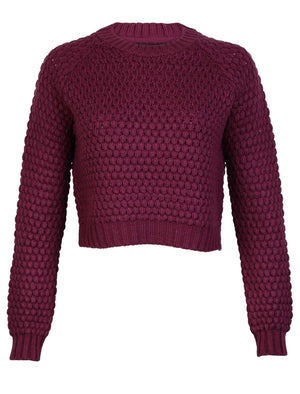 Amara Reya Cornflower cropped knitted jumper in Dark Purple