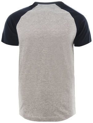 Fox Baseball Short Sleeve Raglan T-Shirt in Grey Marl