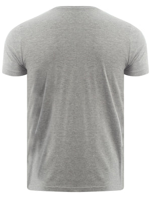 Dissident  grey  Diss Bikini t-shirt