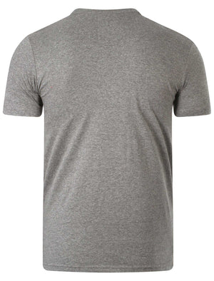 Dissident Doherty grey t-shirt