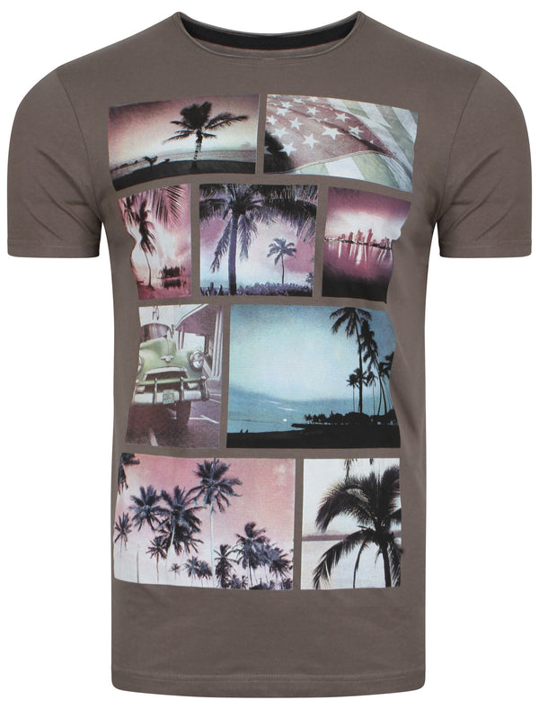 Faded Palm Tree  T-Shirt in Grey - Dissident