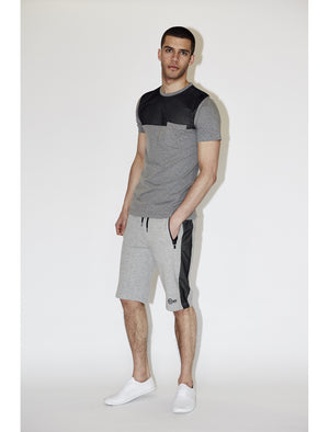 Dissident Doherty grey t-shirt