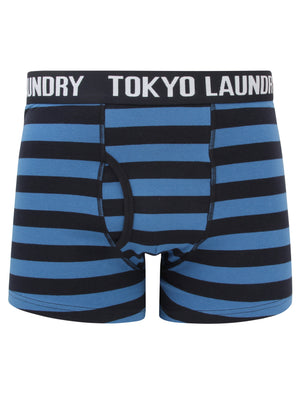 Haverfield (2 Pack) Boxer Shorts Set in Federal Blue / True Navy - Tokyo Laundry