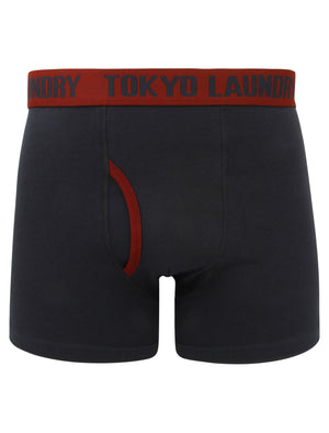 Haverfield (2 Pack) Boxer Shorts Set in Oxblood / True Navy - Tokyo Laundry