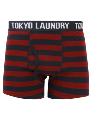 Haverfield (2 Pack) Boxer Shorts Set in Oxblood / True Navy - Tokyo Laundry