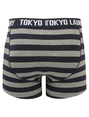 Haverfield (2 Pack) Boxer Shorts Set Mid Grey Marl / True Navy - Tokyo Laundry