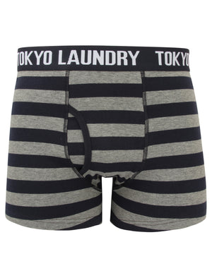 Haverfield (2 Pack) Boxer Shorts Set Mid Grey Marl / True Navy - Tokyo Laundry