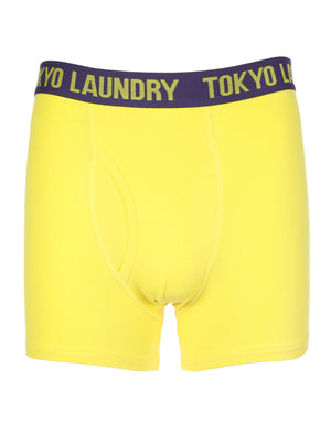 James Yellow/Blue Sports Boxers - Tokyo Laundry