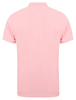 Lewisham Cotton Pique Polo Shirt In Candy Pink - Kensington Eastside