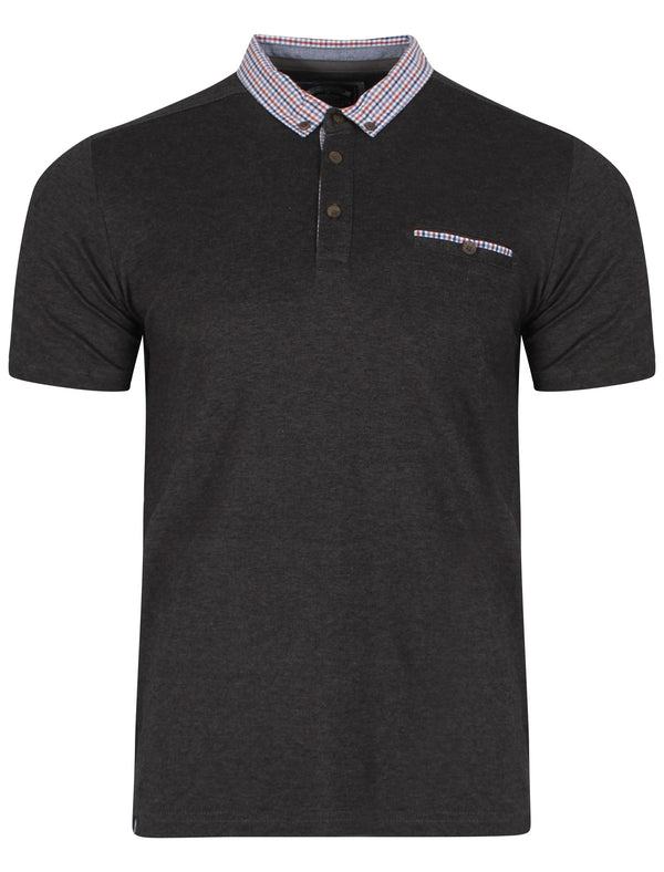 Carndale Polo Shirt in Black - Kensington Eastside