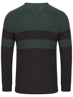 Le Shark Adu navy blue and green jumper