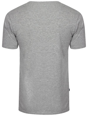 Men's Basic V-neck grey T-shirt - Le Shark
