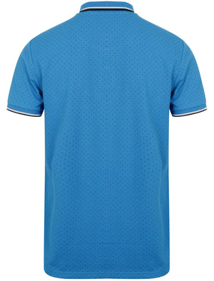 Le shark polo shirts online