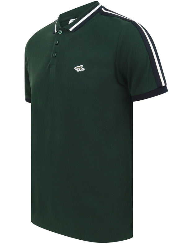 Crown Cotton Pique Polo Shirt with Racer Stripe Sleeves In Pine Grove - Le Shark