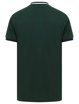 Crown Cotton Pique Polo Shirt with Racer Stripe Sleeves In Pine Grove - Le Shark