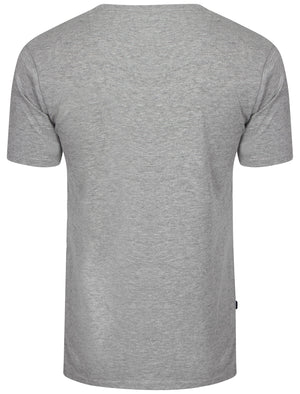 Glasshill Short Sleeve V Neck Cotton T-Shirt in Light Grey Marl - Le Shark