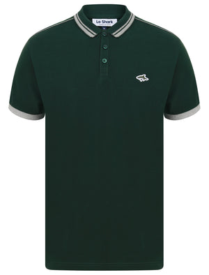Maples 2 Cotton Pique Polo Shirt with Tipping In Pine Grove - Le Shark