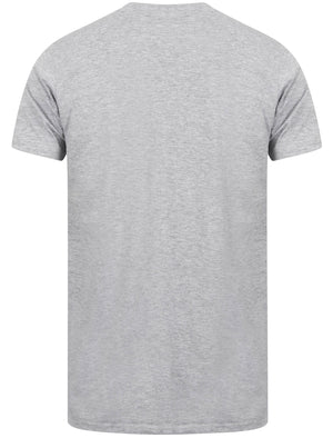 Stanley Basic Cotton V Neck T-Shirt In Light Grey Marl - Le Shark