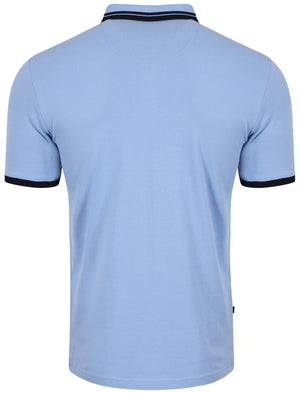 Polo Shirt in Blue - Le Shark