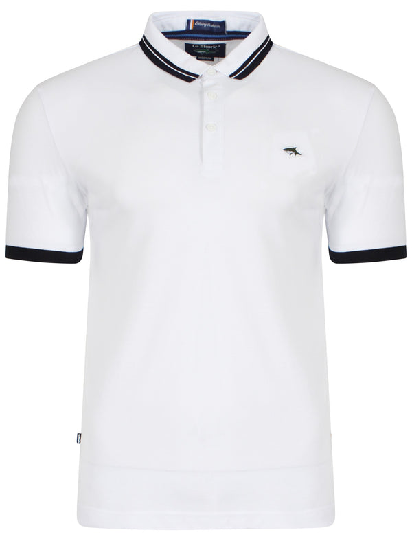 Stibbington Polo Shirt in White - Le Shark
