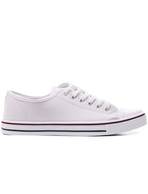 Womens Baltimore Low Top Lace Up Canvas Trainers In White