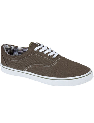 Harvard Lace Up Canvas Trainers In Khaki