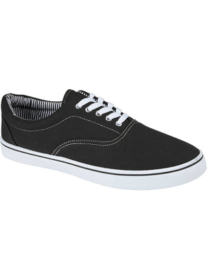 Harvard Lace Up Canvas Trainers In Black
