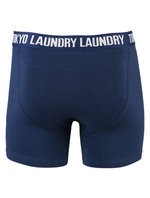 Gladstone Boxer Shorts Set in Washed Purple / Estate Blue - Tokyo Laundry