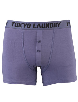 Gladstone Boxer Shorts Set in Washed Purple / Estate Blue - Tokyo Laundry