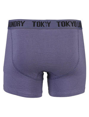 Gladstone Boxer Shorts Set in Washed Purple / Estate Blue - Tokyo Laundry