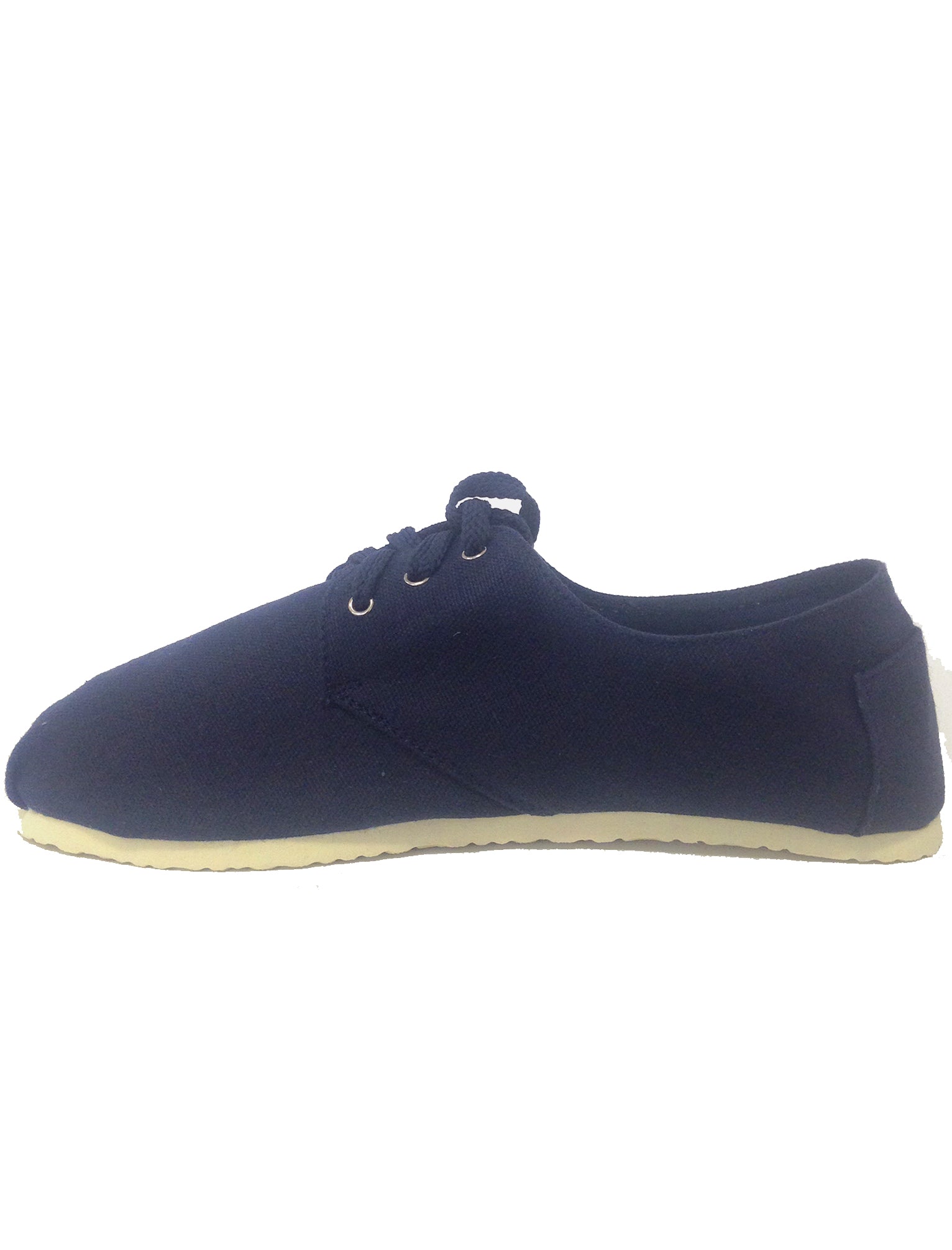 Mens Jonas Lace Up Canvas Plimsolls in Navy Tokyo Laundry