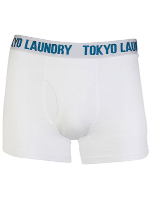Motley Sports Boxer Shorts Set in Light Blue Marl / Optic White -  Tokyo Laundry