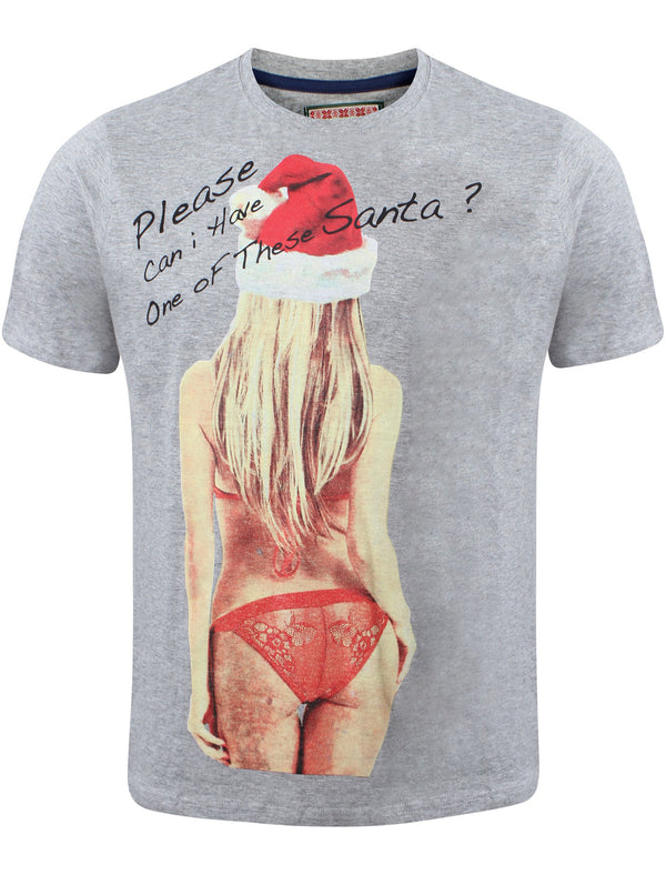 Merry Christmas Please Santa grey xmas t-shirt
