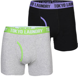 Dyott ( 2 Pack)  Boxer Shorts Set in Purple Opulence / Laundered Green - Tokyo Laundry