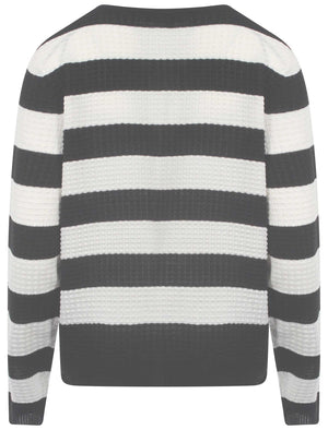 Plum Tree Audrey navy striped cardigan