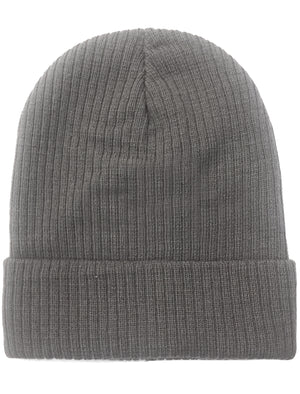 Jaylon Ribbed Knitted Beanie Hat in Grey