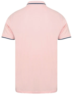 Baser Cotton Pique Polo Shirt In Blushing Pink - South Shore