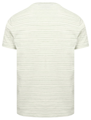 Drop Striped Cotton Jersey T-Shirt with Parrot Motif In Green - South Shore