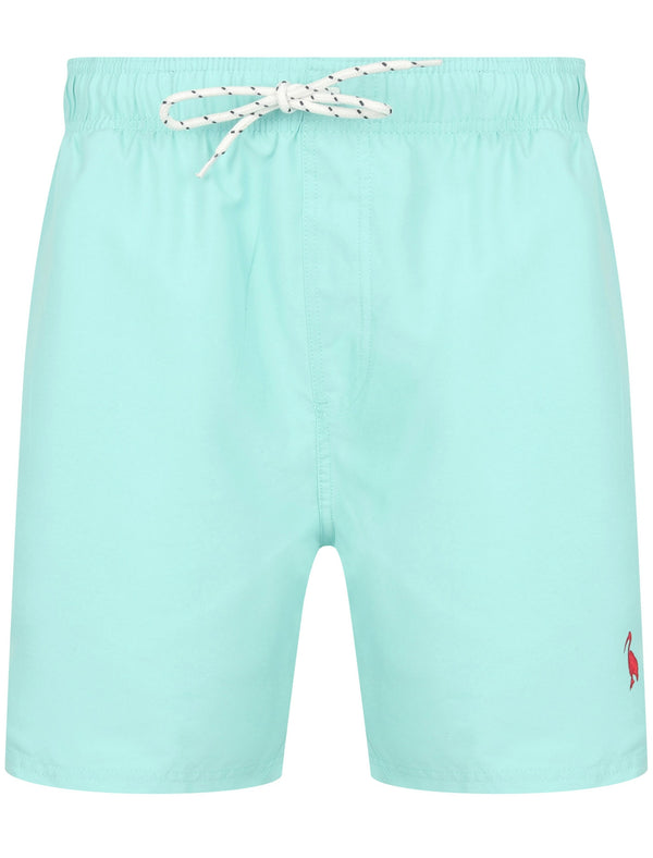 Graysen 2 Swim Shorts In Aqua Haze - South Shore