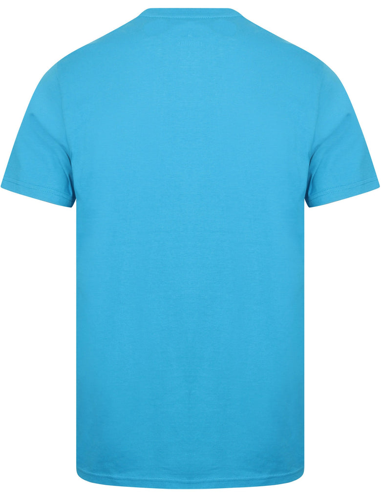 Kinsley Basic Cotton Crew Neck T-Shirt In Blue Aster - South Shore ...