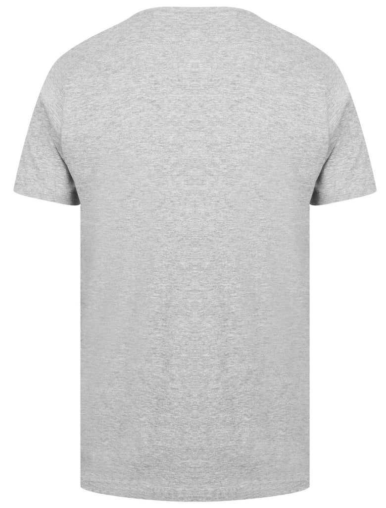 Clancy Basic Cotton Crew Neck T-Shirt In Light Grey Marl - South Shore ...