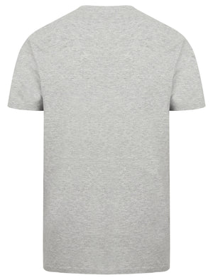 Mountain Drive Motif Cotton T-Shirt In Light Grey Marl - South Shore