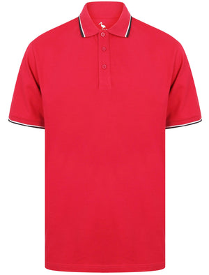 Osten Basic Cotton Pique Polo Shirt With Tipping in Cherries Jubilee - South Shore