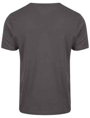 American Spirit Print T-Shirt in Graphite Grey  - South Shore